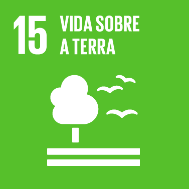 7º ODS